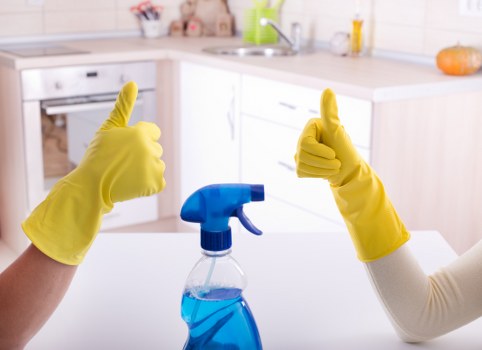 Regular cleaning service for E9 homes and apartments