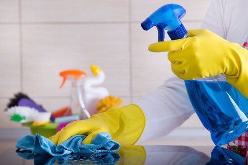 Pet stain treatment equipment ready for use in an E9 apartment