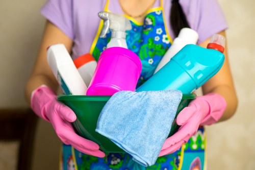 Kitchen and bathroom recurring cleaning in E9