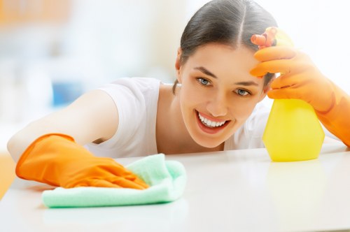 Residential and commercial deep cleaning around E9