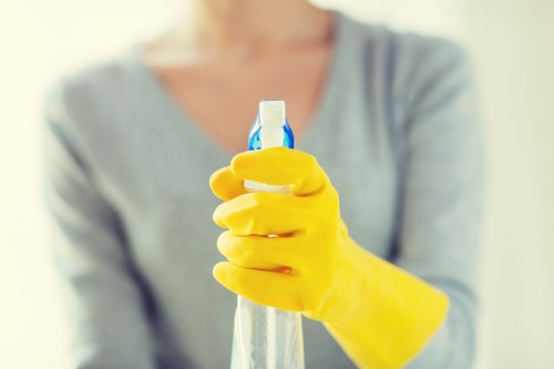 Carpet cleaning service introduction in E9 with professional care focus