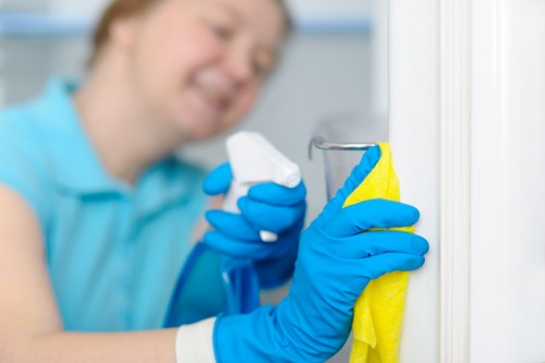 Domestic cleaner working in an E9 kitchen and living area