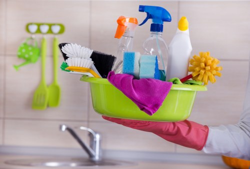 Professional carpet cleaning process in E9 for stain removal and fibre care