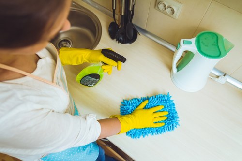 Illustration of inclusive carpet cleaning content for the E9 area