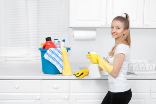 Preparation and inspection before carpet cleaning in E9