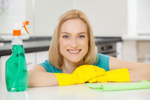 Regular house cleaning in E9 adapted for flats and family homes