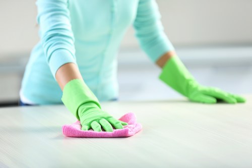 Deep cleaning a sofa to remove pet odour in a local property