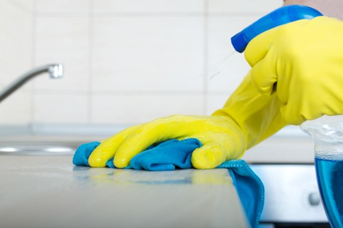Sustainable carpet cleaning service in the E9 area