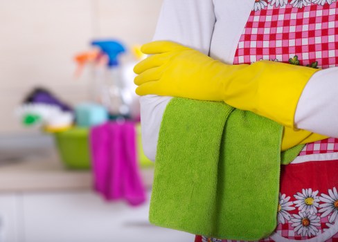 Risk-based supplier audit process for Carpet Cleaners E9