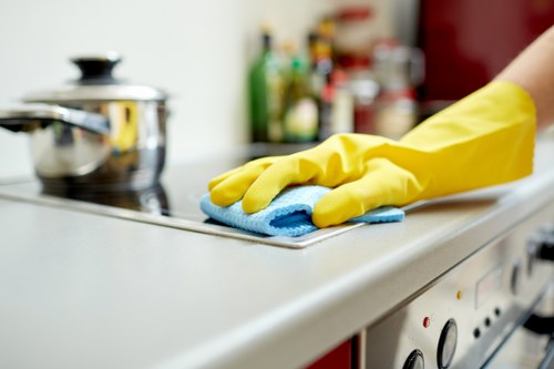 Blocked gutter debris removal and inspection
