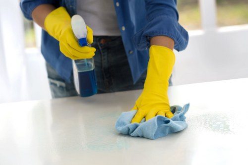 Expert carpet cleaning service improving carpet appearance in E9