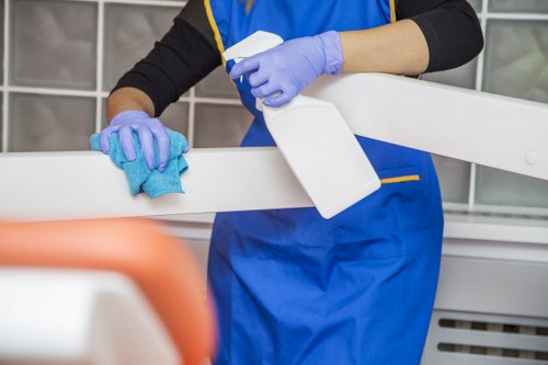 Steam carpet cleaning service for a busy E9 household living room